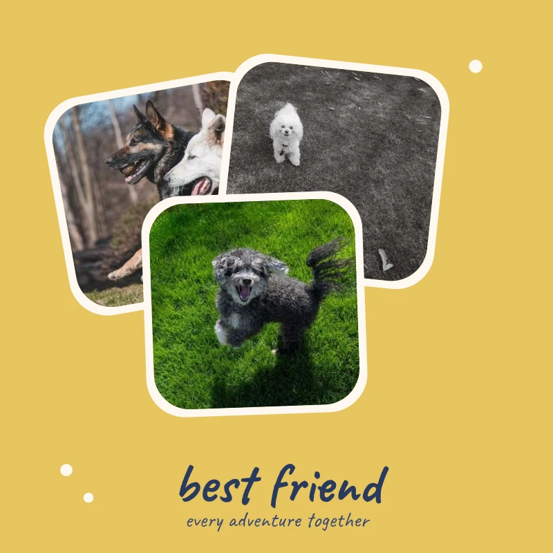 The cover of the My best friend template