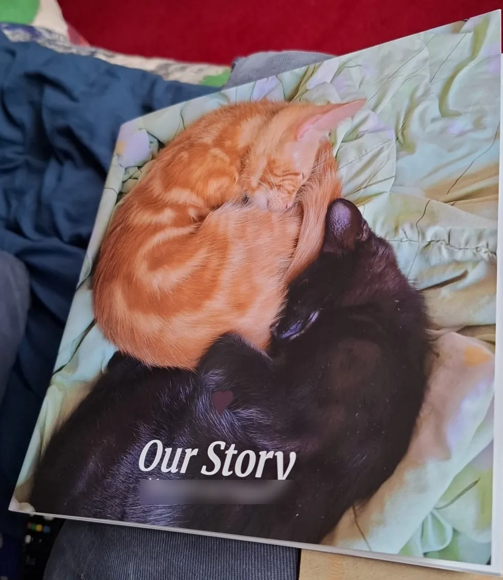 A printed photo book titled Our Story, its cover a ginger kitten and a black cat curled up asleep together on a pale green sheet
